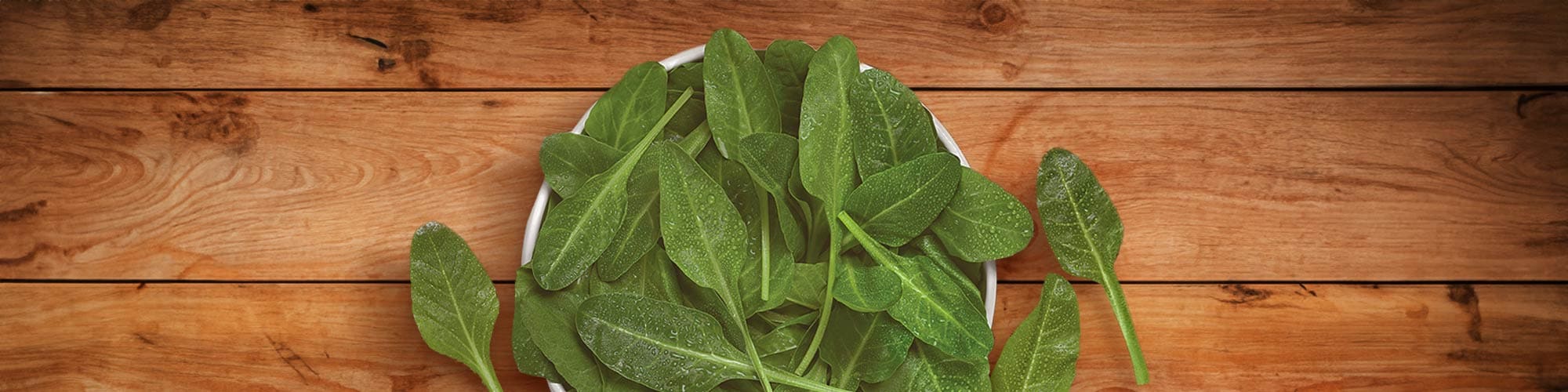 Bietoline Primavera Findus