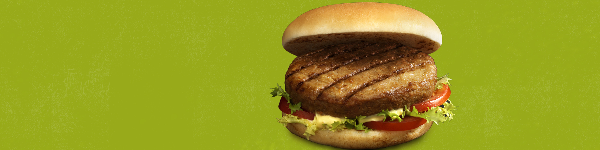 Hamburger Vegetale Classico - Findus