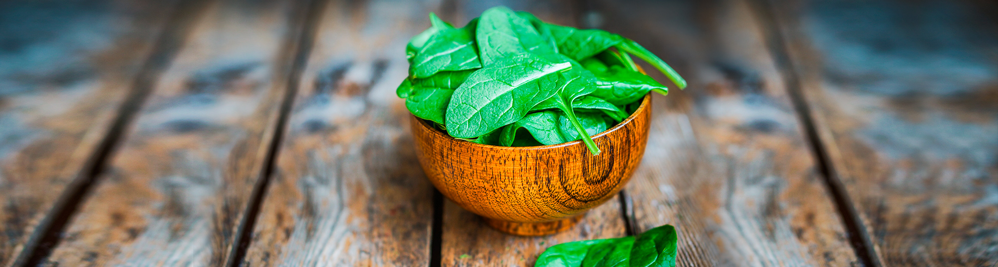 Ricette con spinaci - Ricette spinaci - Ricette di spinaci