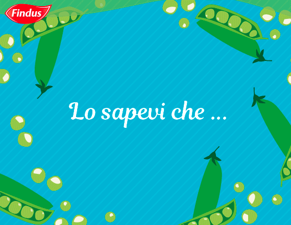 Verdure con vitamina A – verdure che contengono vitamina A