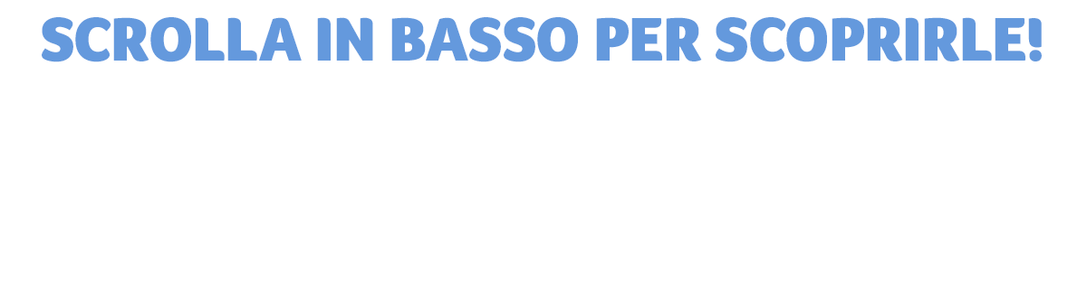 onepiece capitan findus 