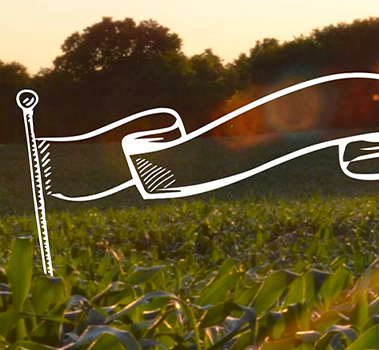 La nostra Strategia di Sostenibilità