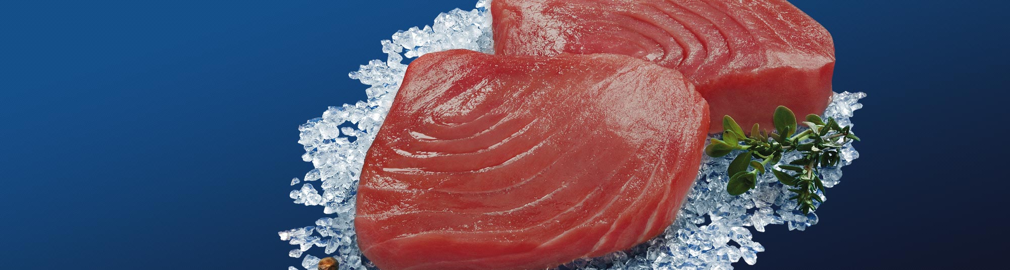 Tonno Surgelato - Findus