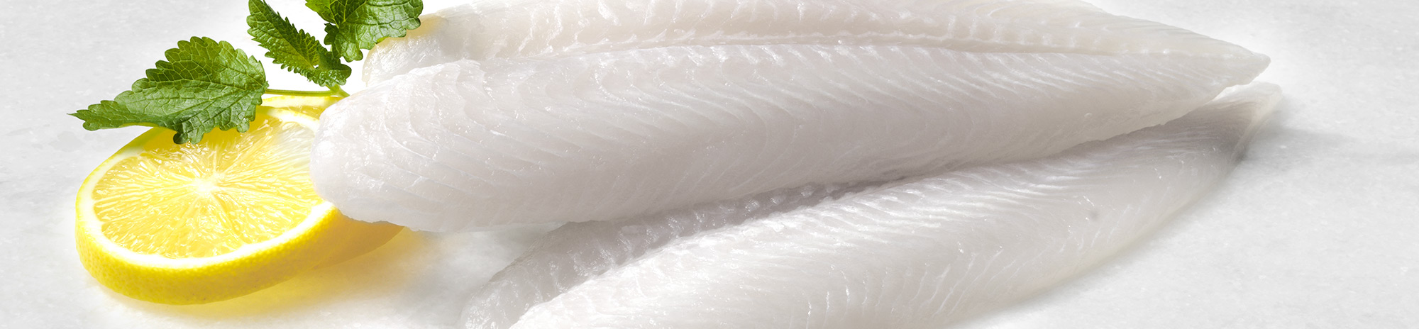 Ricette con branzino - Ricette branzino - Ricette di branzino