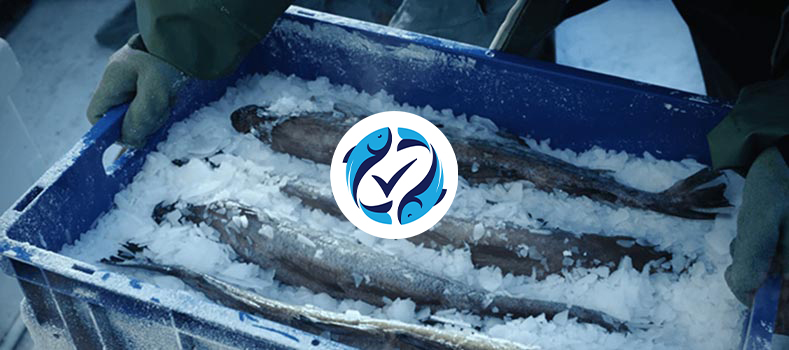 Logo FFG Pesca - Findus