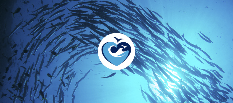 Qualita Prodotti Capitano - Findus