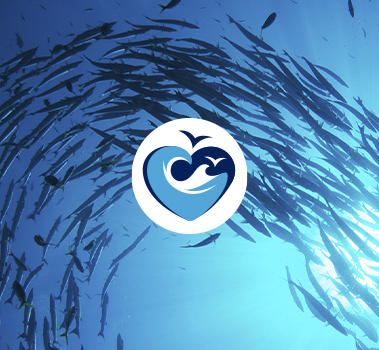 Qualita Prodotti Capitano - Findus