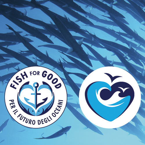 prodotti ittici Findus da pesca certificata MSC e ASC