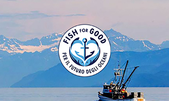 Pesce e Sostenibilità - Findus