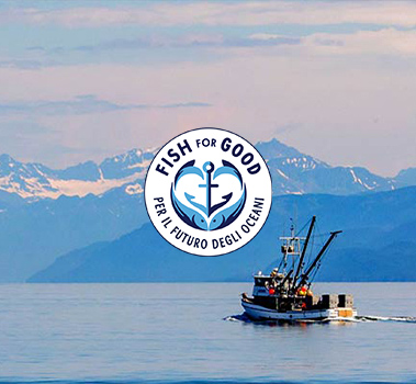 Sostenibilità del Pesce - Findus