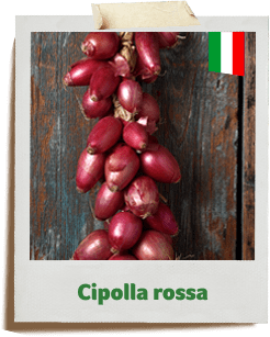 cipolla rossa