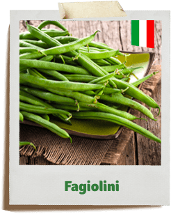fagiolini