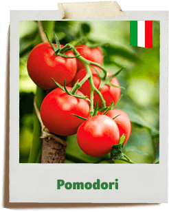 pomodori