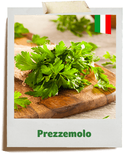 prezzemolo