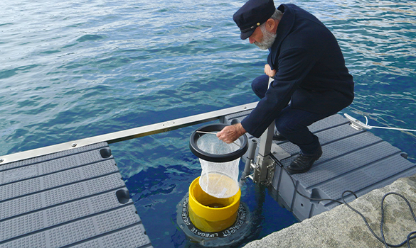 Salvaguardia degli Oceani