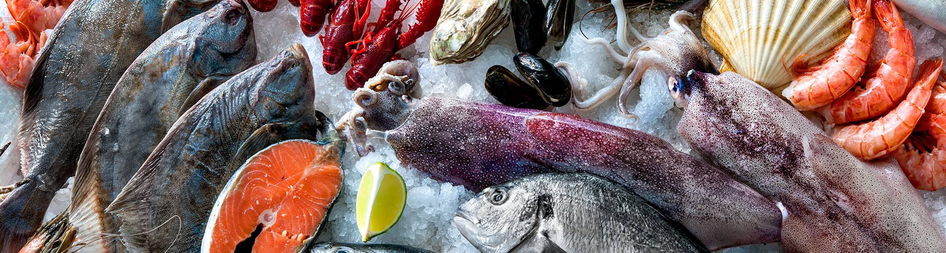 180622_header_omega-3.jpg