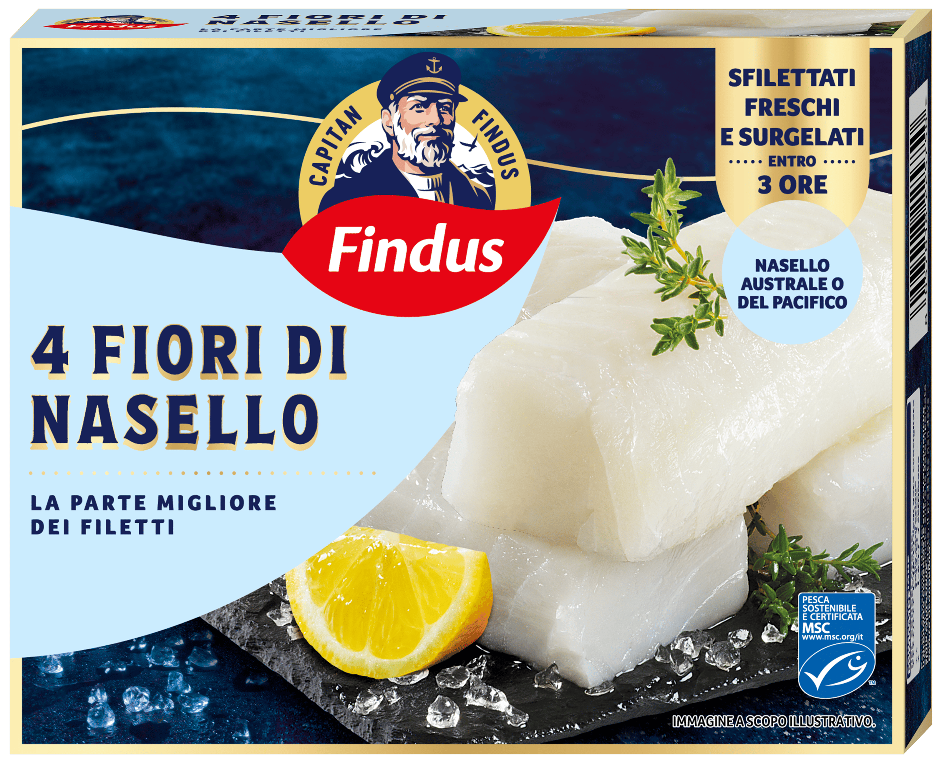 fiori-di-nasello ffg 2023.png